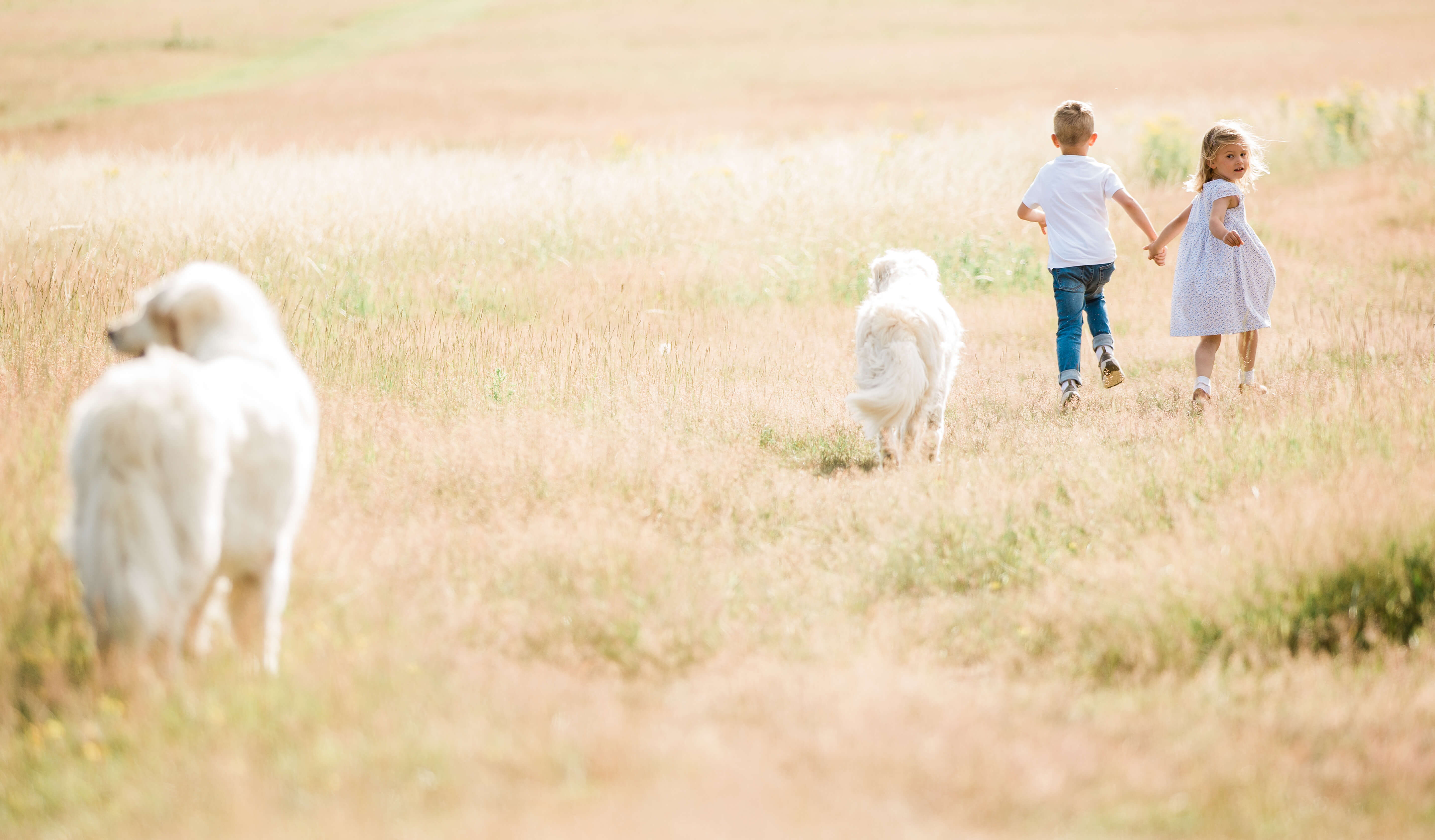 CHILDREN RUNNING WITH DOGS BY ESSEX FAMILY PHOTOGRAPHER KIKA MITCHELL PHOTOGRAPHY CHELMSFORD