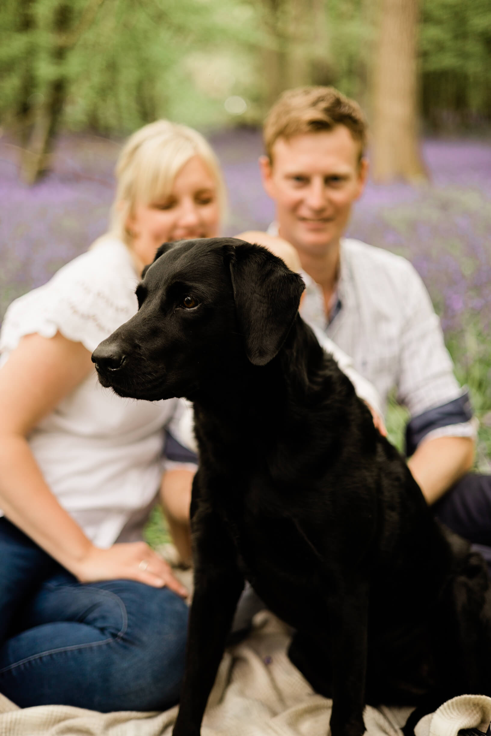 Dark dog taking pride of place during a family woodland photo shoot in Essex - captured by Kika Mitchell Photography