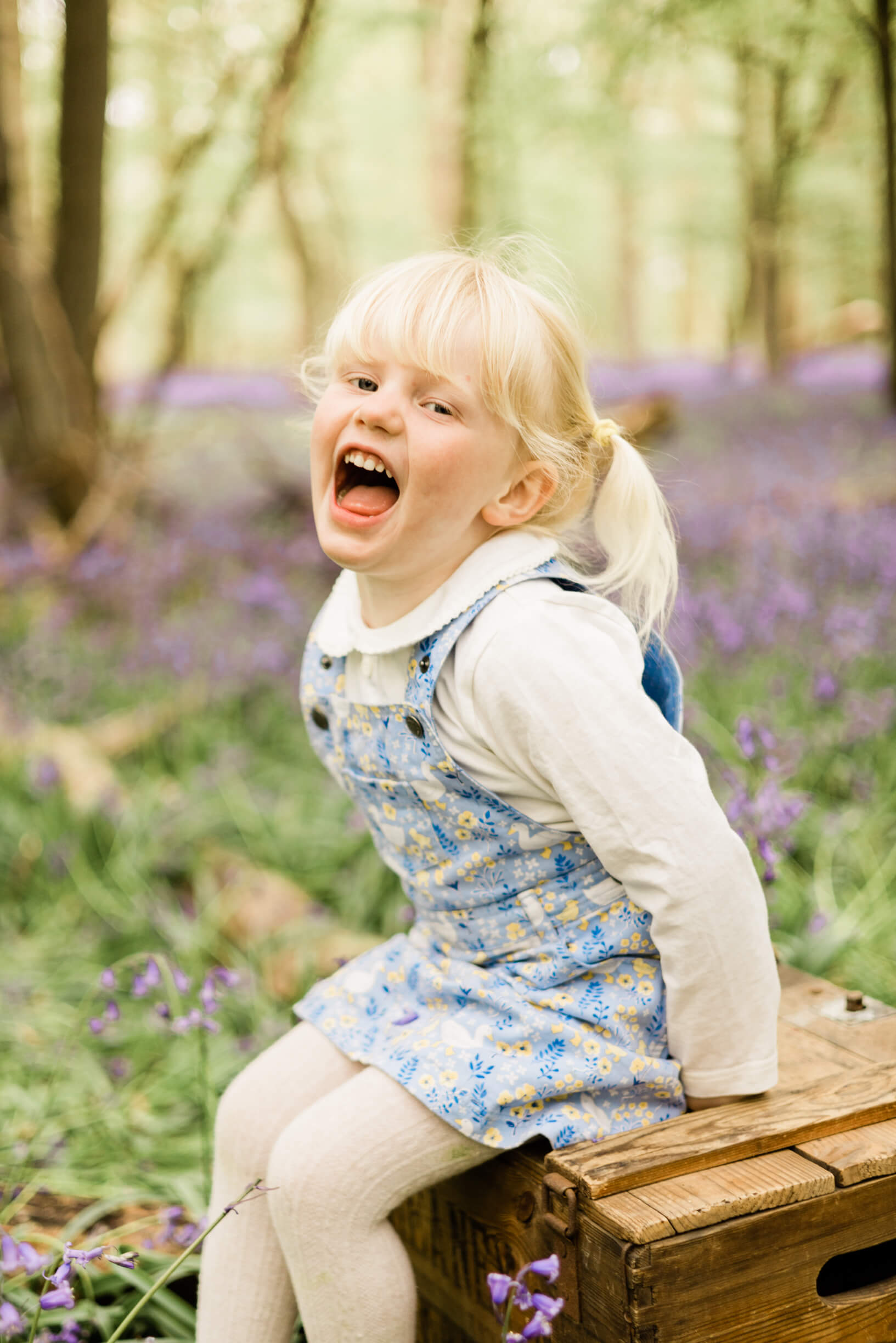 Laughing girl sat amongst the springtime bluebells in Essex during her relaxed, child photoshoot. Captured by Kika Mitchell Photography