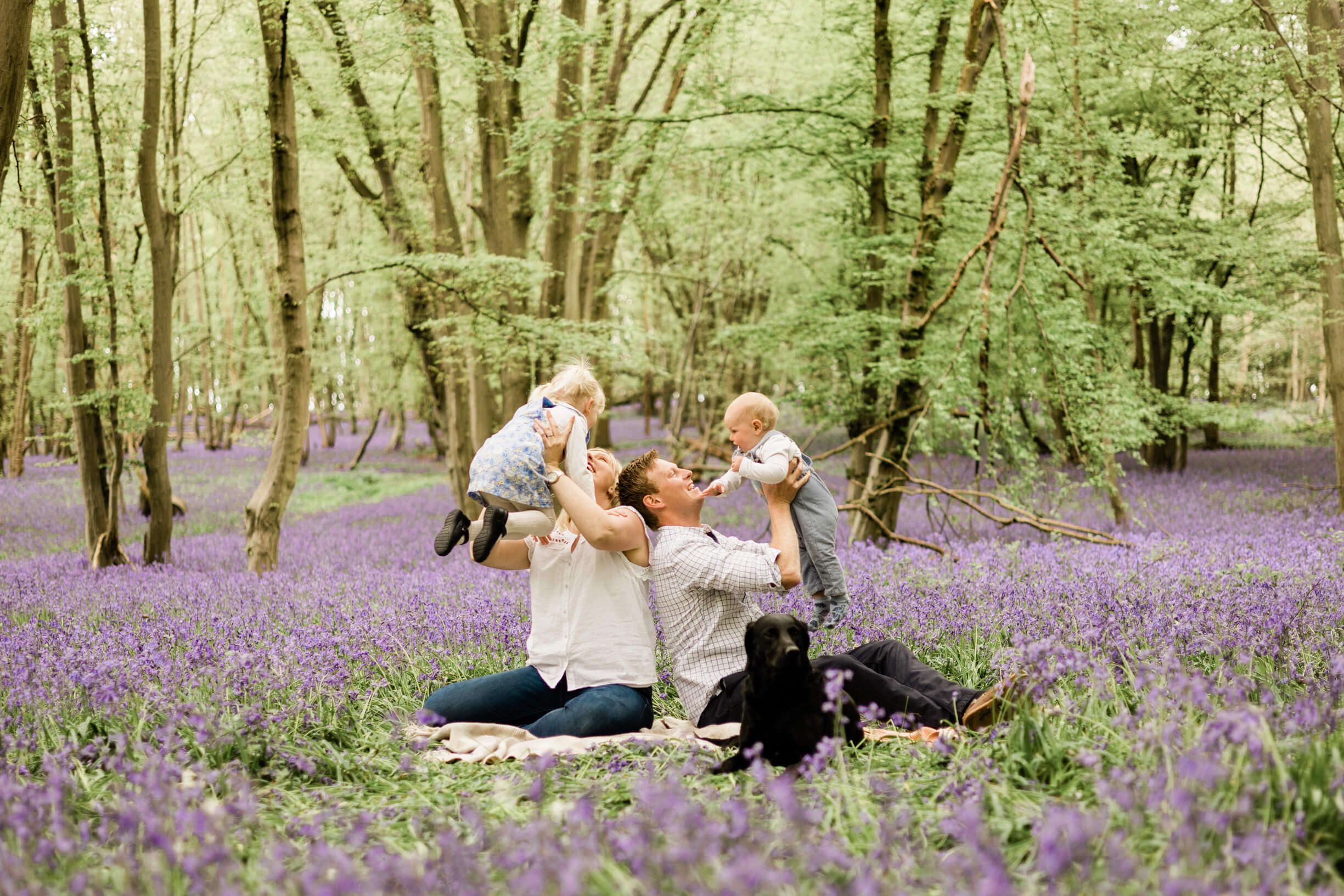 Relaxed family photography shoot in the spring bluebells captured by Chelmsford Photographer Kika Mitchell Photography