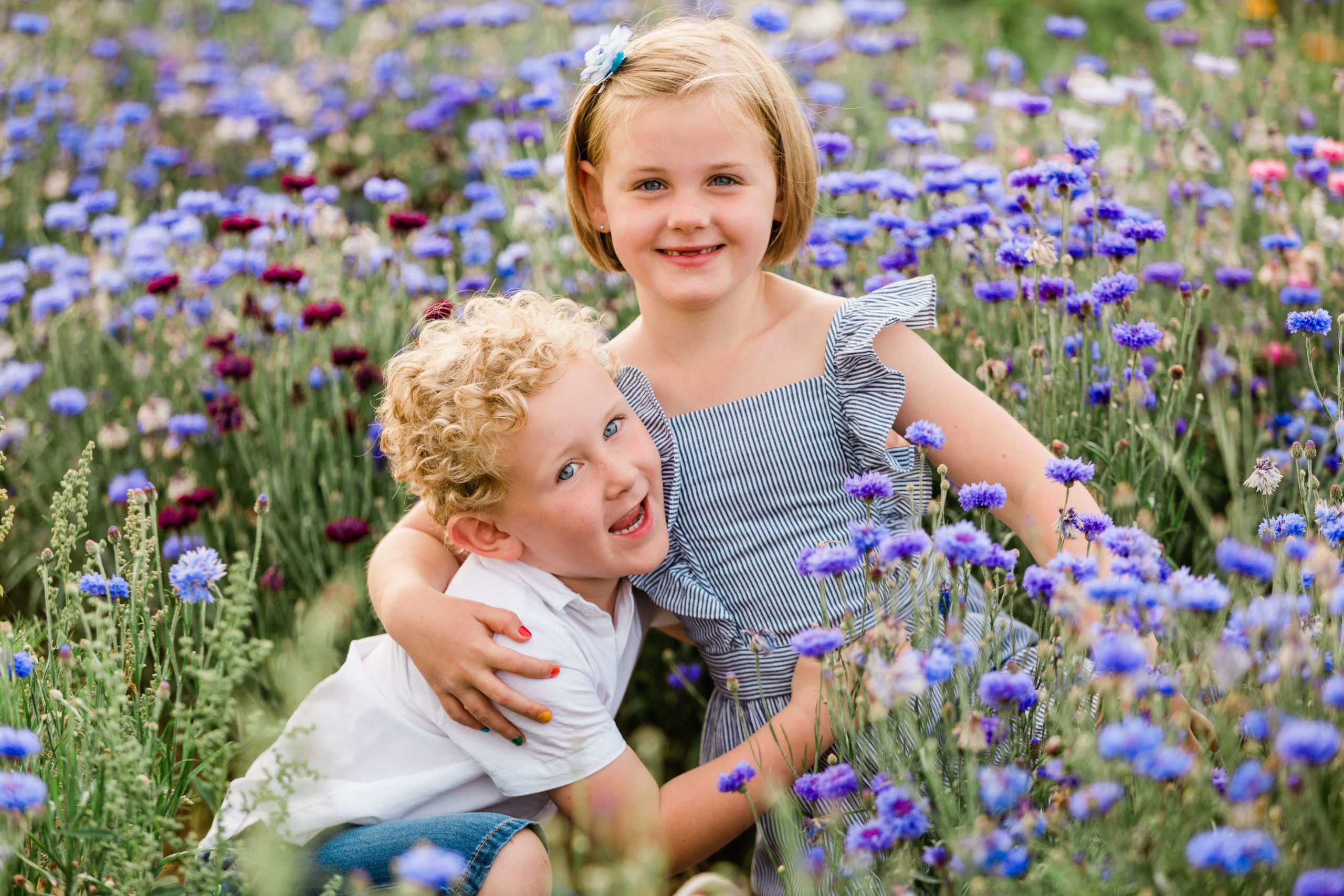 2 sibling cuddling in the blue cornflowers on the ultimate wildflower meadow shoot by Chelmsford photographer Kika Mitchell Photography