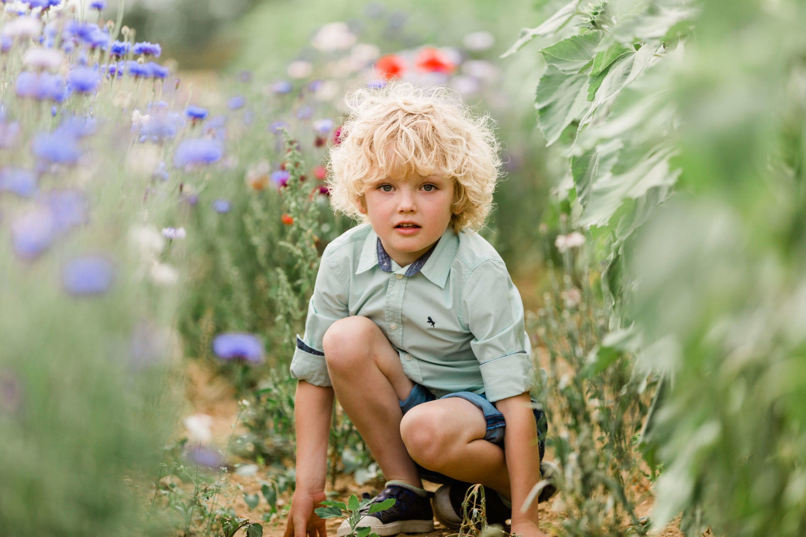 Chelmsford photographer Kika Mitchell Photography's ultimate meadow shoot at Writtle Sunflowers